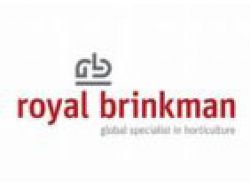 royal brinkman